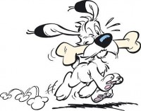 Osteoporose Risiko-Check