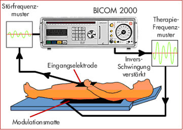 Bioresonanz